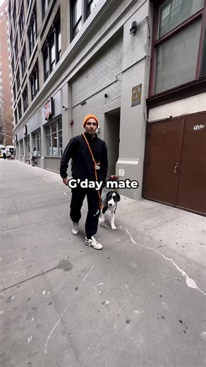 Cooking with Akin Akman: Budget-Friendly Meal Prep in NYC