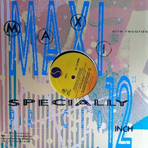 Ice-T - High Rollers