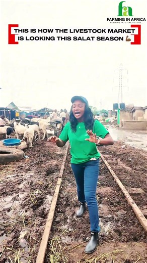 Accra's Biggest Livestock Market During Salat #eidmubarak #livestockfarming