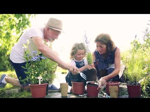 Plant a Tree with Me! 🌱 | Earth Day Song for Kids | Nursery Rhyme