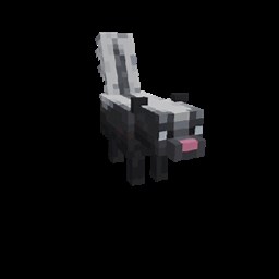 Wildlife Expanded: Skunk