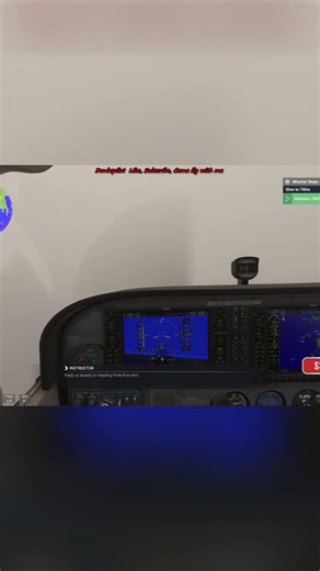 #8 Mastering Flight Sim Speed & Altitude Control Guide