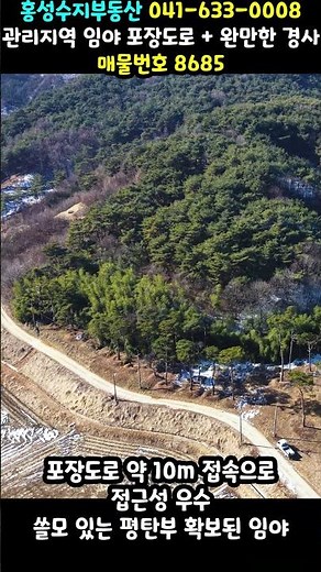 97,500,000 KRW Managed Area Forest Land Paved Road + Gentle Slope (8685)
