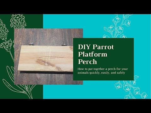 How to Build a Platform Perch (for parrots or small animals)