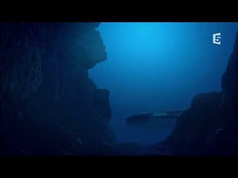 Predator X 2009 documentary Pliosaur and plesiosaur