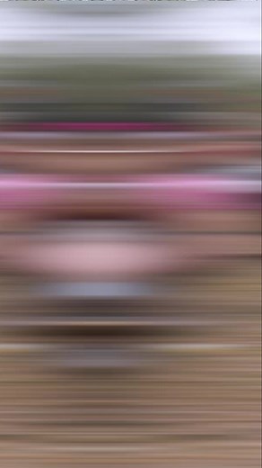 Check the full episode out: https://youtu.be/3s3BwrMJnOM | 4wd TV