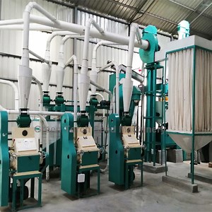 [Hot Item] Complete Line Corn/Maize Milling Machine for Flour and Grits Production