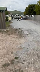 Would you?? #fyp #foryoupage #holden #skid #pig #save #beautiful #project #commodore #old #OscarsAtHome | Early Commodore Community