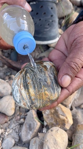 Hidden Feather Agate Revealed — Nature’s Artwork Inside a Stone!