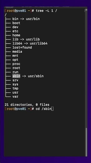 Why is /sbin so important in Linux?