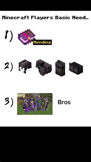 Minecraft player basic needs : ☠️