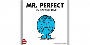 The Niceguys - Mr. Perfect (Video)