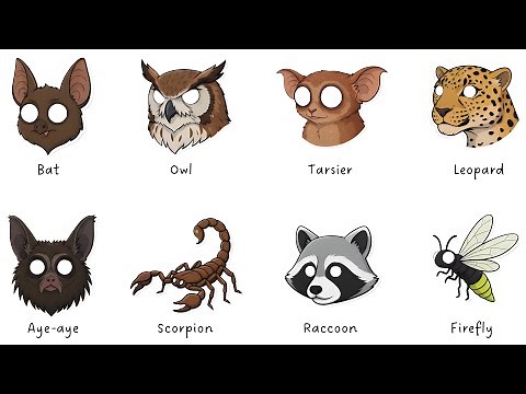Every NOCTURNAL ANIMAL Explained in 09 Minutes