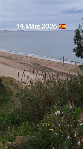 Sea temperature 14,3°C Day 16°C Night 8°C am 14.März 2026 in Miami Platja,Catalonia, Spain 🇪🇦 #miamiplatja #today #nature #flowers #travel