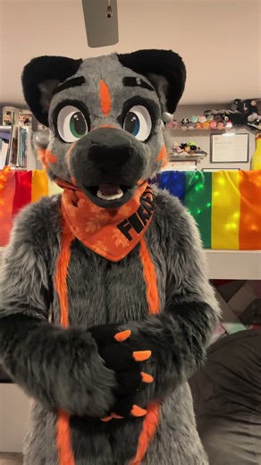 Exploring Different Skunk Species