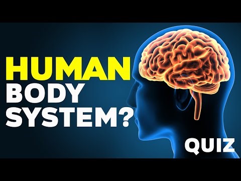 Human Body System Quiz?