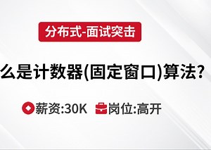 分布式 | 什么是计数器（固定窗口）算法？--马士兵Java刷题班_哔哩哔哩_bilibili
