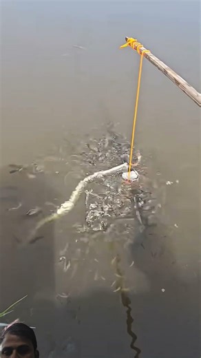 This bottle fishing technique is amazing 🤩🫣#shorts #fishing