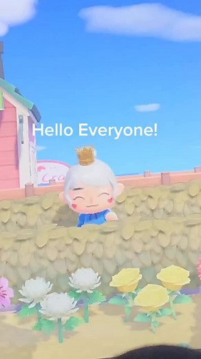 Where to Put Design Codes in Animal Crossing New Horizons