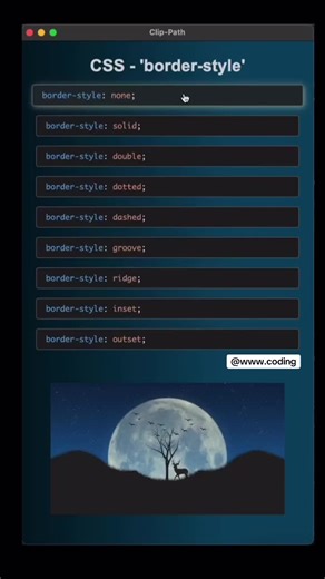 CSS Border Style #coding #frontend #fyp #justccoding23