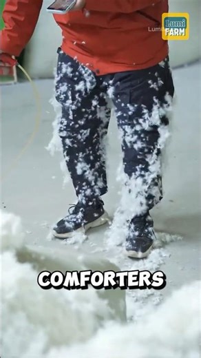 Why do Chinese people pluck goose feathers? #goose #shorts