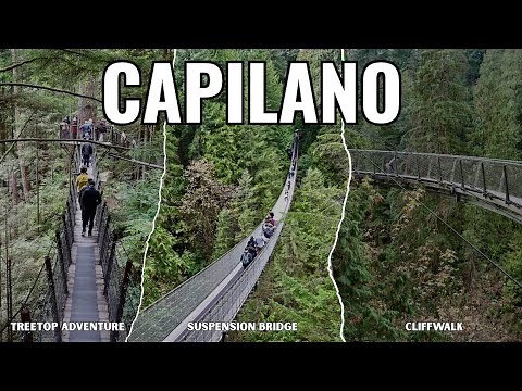 Complete Capilano Suspension Bridge Guide: Free Shuttle, Top Attractions & Essential Tips
