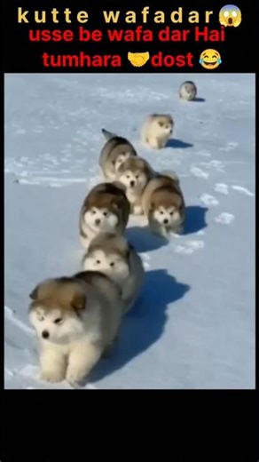 Crazy Viral Facts You Didn't Know