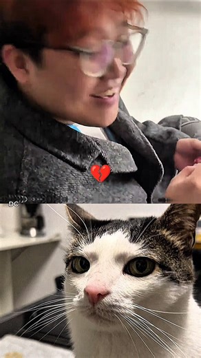 Noooooooo 😱 #shorts