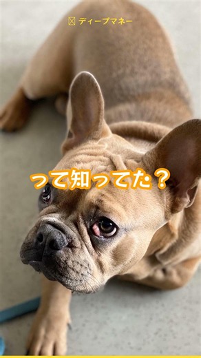 医療費控除の落とし穴