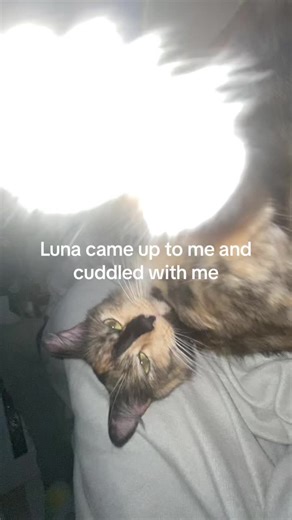 Gacha.star.twins (@gacha.star.twins)’s videos with original sound - songlyricss