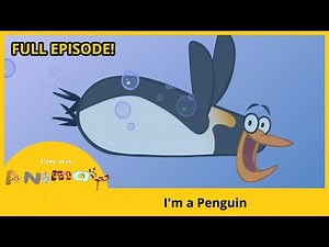 🐧 I'm a Penguin | I'M AN ANIMAL