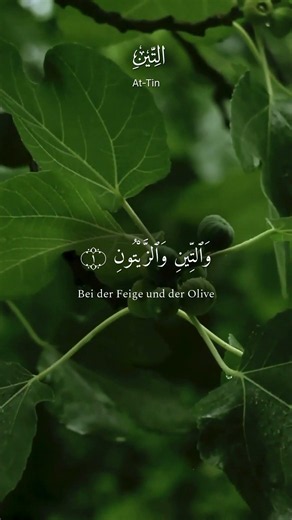 Das Heilige im Gewöhnlichen — Surah At-Tin · Quran
