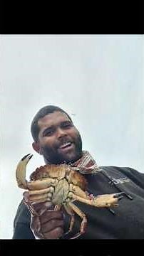 Opening day of dungeness crab season in marine area 6 Port Angeles washington #reels #fishing