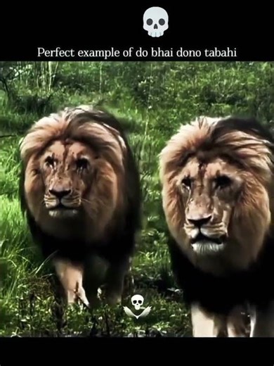 best friend🇳🇵🤝🇮🇳#history