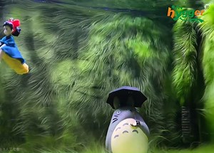 981K views · 18K reactions | How to grow green algae in aquarium? 樂To get algae going in your tank: 1.Decrease the flow rate. 2.Increase the water temperature. 3.Leave your aquarium light on longer.☘ 4.Add some aquatic plant fertilizer to your tank. #hygger #aquarium #aquariumtank #aquariumlovetank #aquariumfishtank #aquariumlove #aquariumalgae #algae #tankalgae | Hygger Aquarium | Facebook