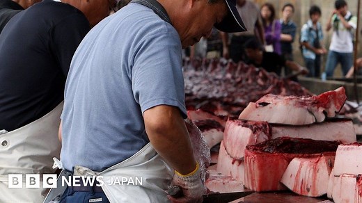 日本とクジラ　なぜ日本は捕鯨をするのか - BBCニュース