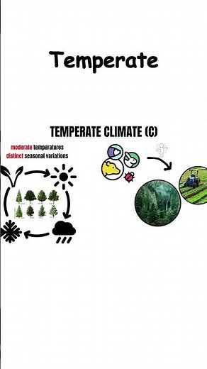 Four Seasons of Fun: Unveiling the Temperate Zone in 60 Seconds! #TemperateClimate #science