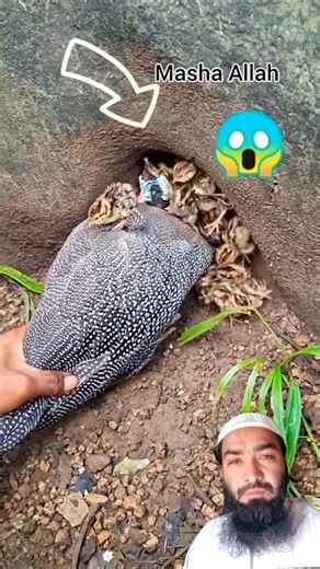 Cool items 💯New gadgets , smart Appliances , Kitchen Tilawat🥰🥰❤️❤️ is an exciting world