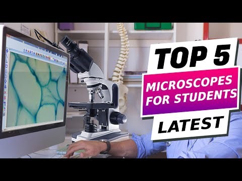 Discover the Top 5 Best Microscopes for Students 2024