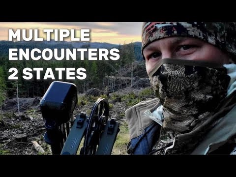 A Hunter’s Encounters with Sasquatch in Washington and Oregon | New Bigfoot Video 2025