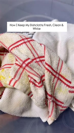 9.8K views · 279 reactions | The trick is simple I use hand washing powder, a bit of bleach, and boiling water. I soak my dishcloths immediately after use, then wash them after about 3–5 hours. They always come out clean and white @sunlight.za @woolworths_sa | Healthjoywellness | Facebook