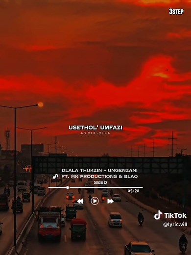 Dlala Thukzin - Ungenzani ft. MK Productions & Blaq Seed