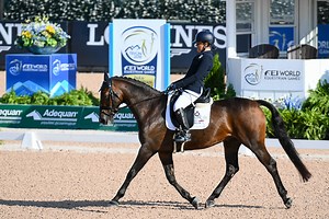 ‘It doesn’t make any sense’: combination eliminated in WEG para dressage