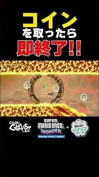 The game ends as soon as you collect the coins! Mario Wonderland + Rinrin Park Edition