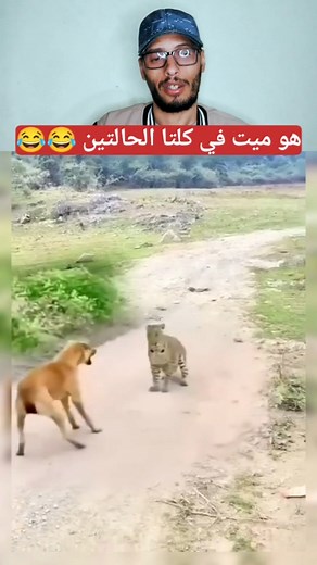 2.5M views · 7.2K reactions | أش غادي يوقع گاع  #challange #dog #morocco #cat #Animals #foryoupage #algeria #tiktok #fullmoon #egybt #fypage #anime #reelsviral #follow #facbook | Abdo Reakshen | Facebook