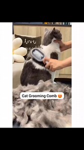 2.2K views · 38 reactions | The Cat Brush That Saves You $300 on Grooming Costs | Meow Cats | Facebook