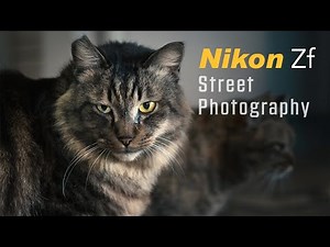 Nikon Zf Sample Photos with Nikon 40mm F2 | Street Photography - Nagasaki, Japan