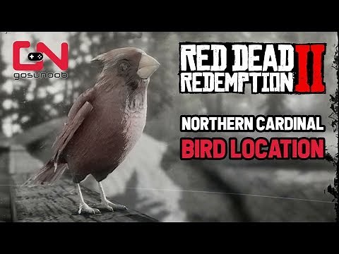 Red Dead Redemption 2 - Northern Cardinal Bird Location - Perfect Cardinal Carcass
