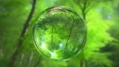 3D animation - Glass sphere in a green forest nature rotating in a...