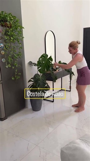 minhas plantas preferidas pra ter dentro de apartamento e casa. Além de lindas, são fáceis de cuidar